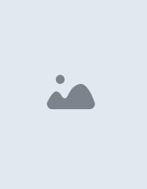 Street art collection from around the world 🎨